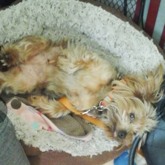 ALWAYSSS - Picture 16 of 16